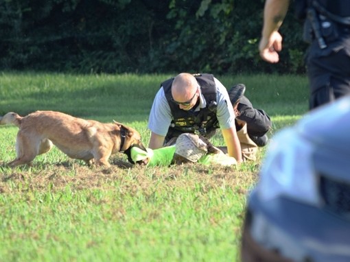 How long does it take to train a k9 dog Police K9 Trainer Course School For Dog Trainers