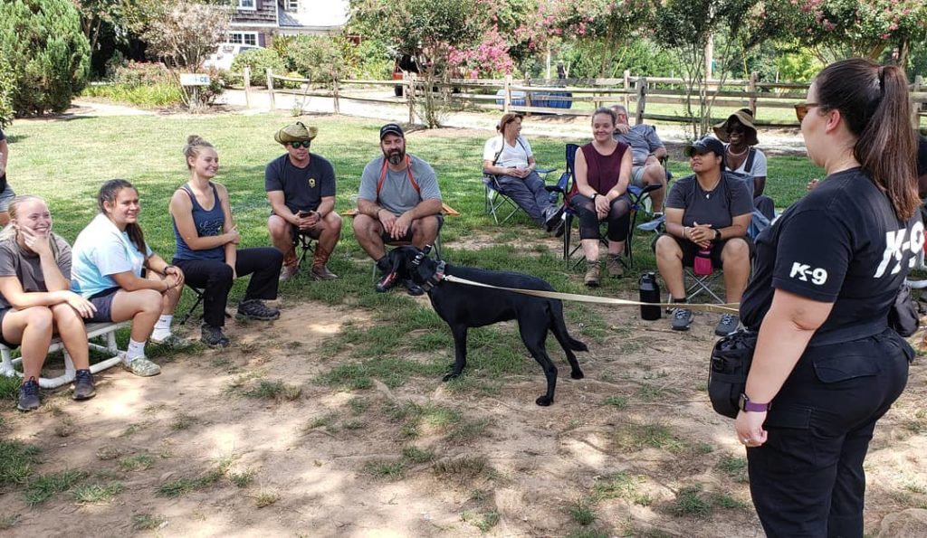 2023 International Scholarship at the School for Dog Trainers