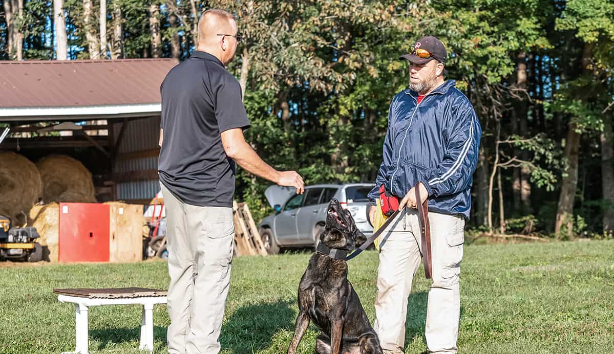 Dog Trainer Locations & Facilities School for Dog Trainers