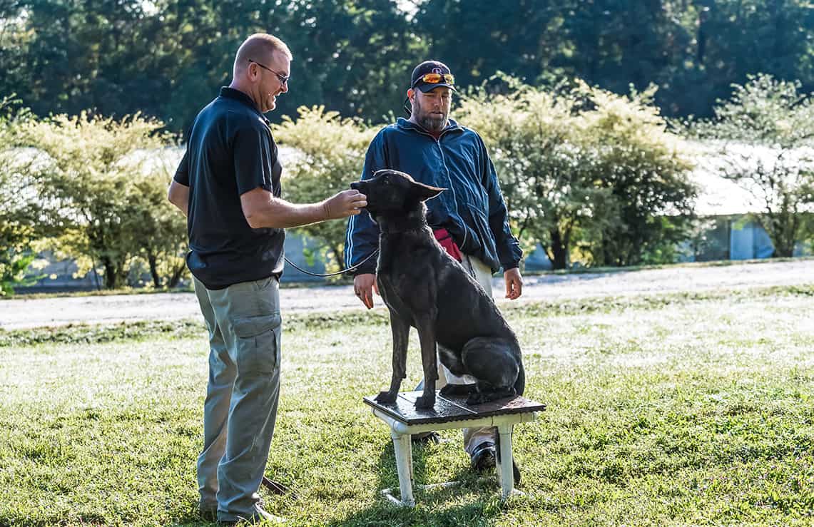 Southeast Campus School for Dog Trainers
