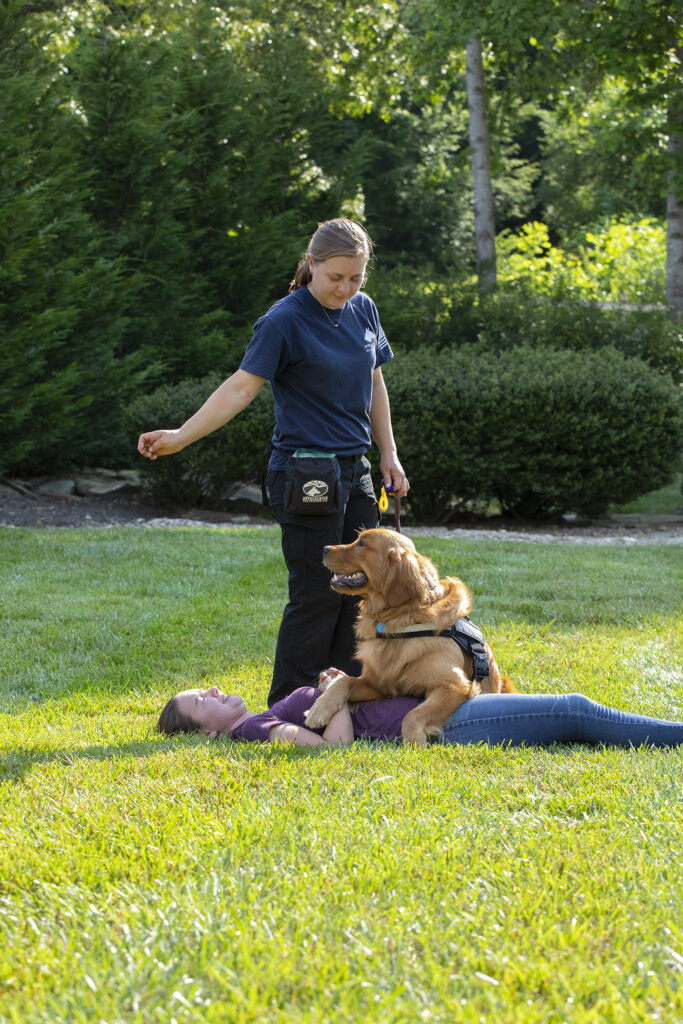 appalachian dog training katie weibel owner