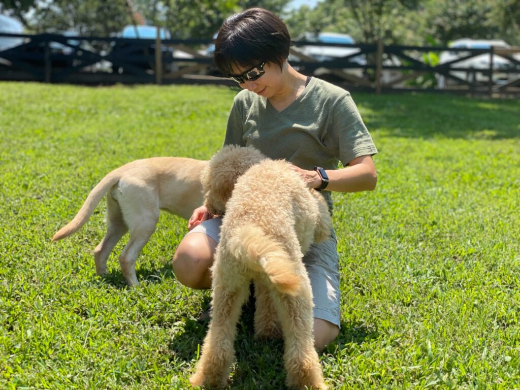 christine ho dog trainer working with dogs