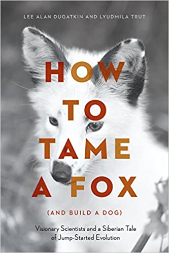 how to tame a fox cover