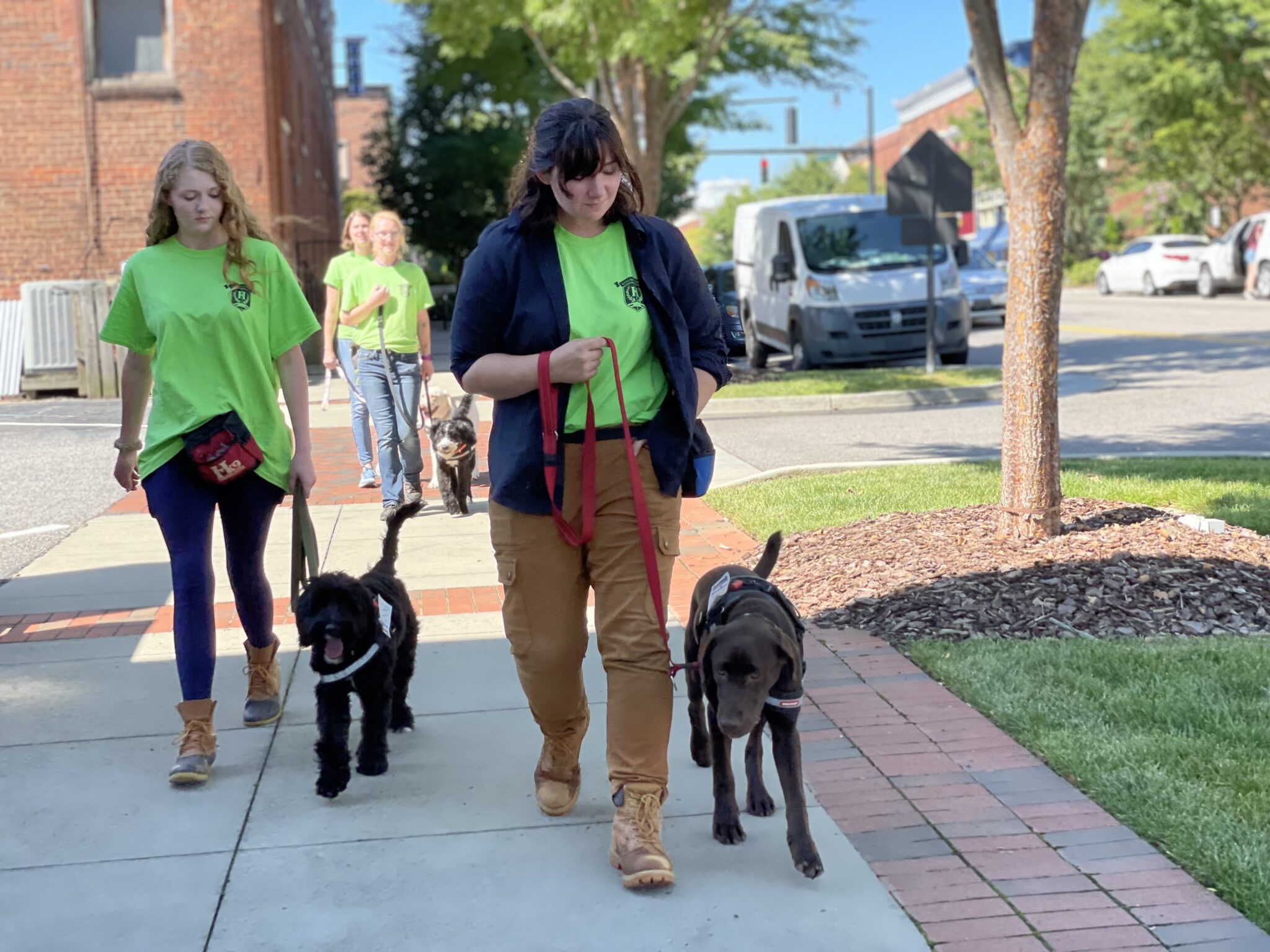 Which Program At The School For Dog Trainers Is Right For You? School for Dog Trainers