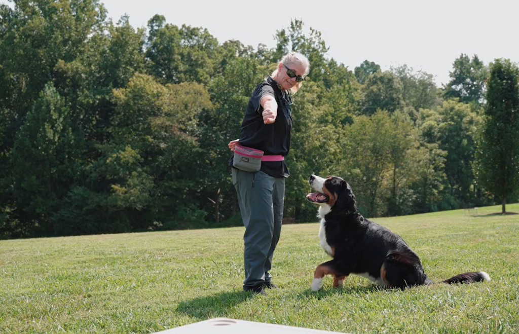 kim cain instructor school for dog trainers