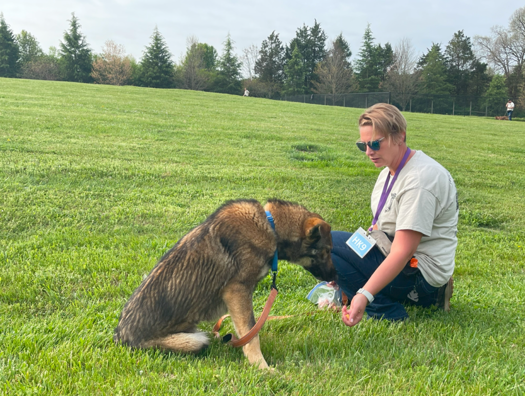 dog trainer at shelter program