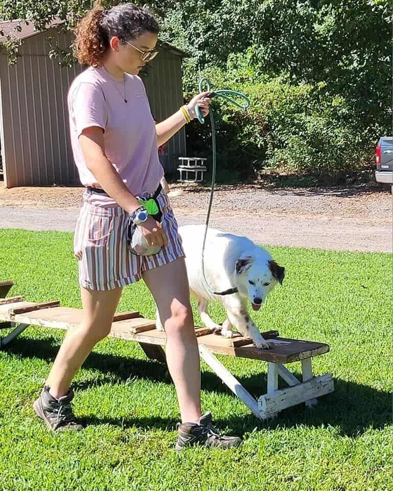 alexa salley doing stability exercise with dog