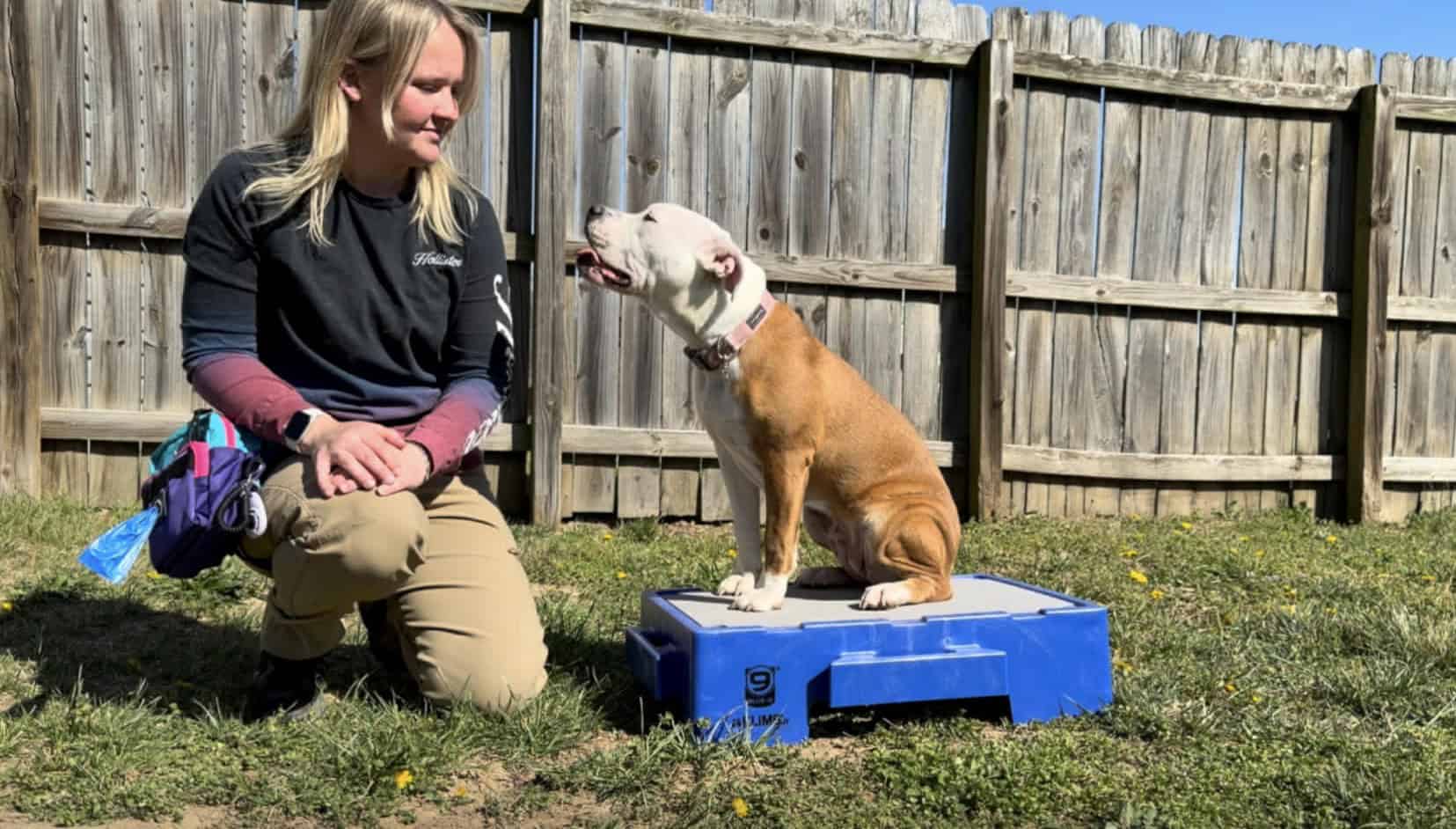 brianna flowers k90 degree dog training