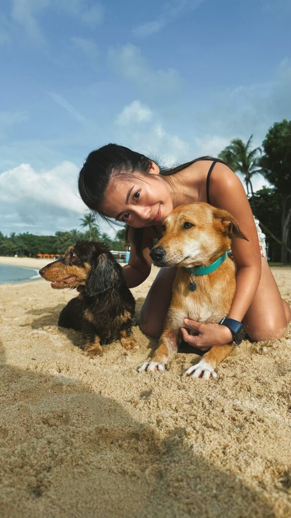 kate tan on beach with dogs