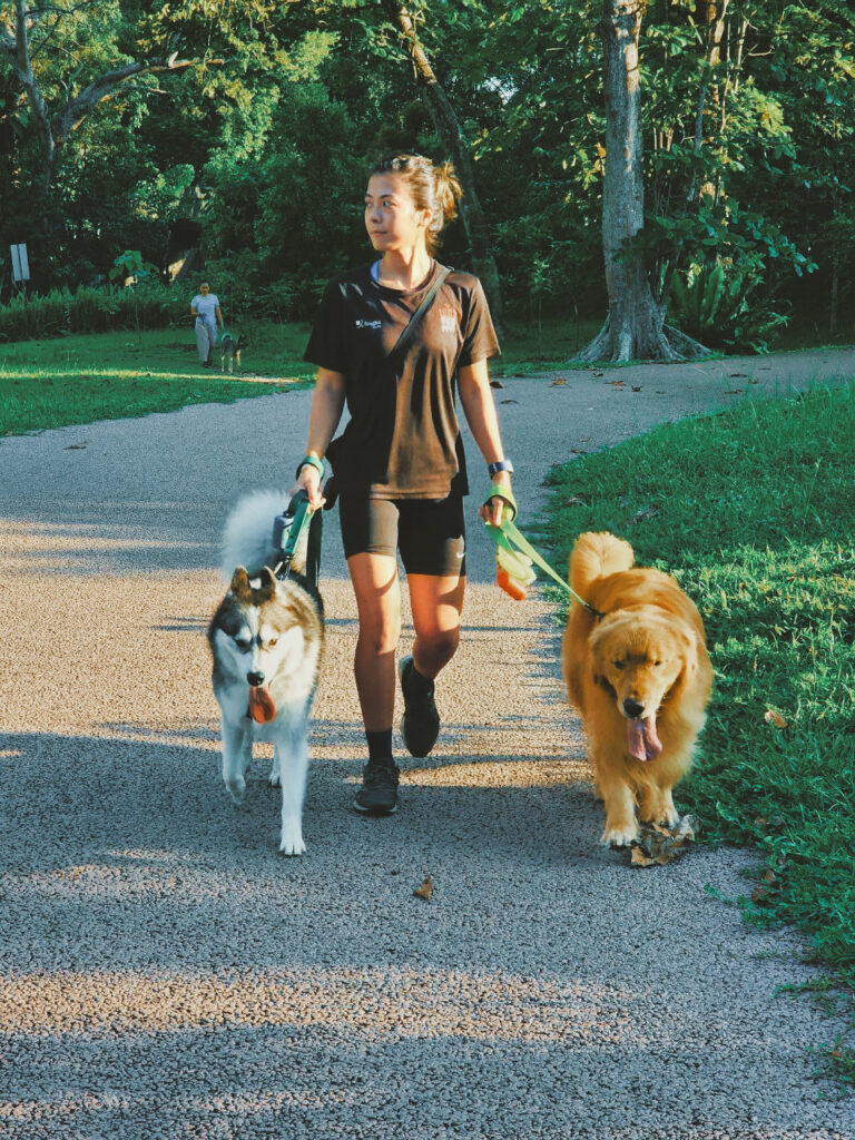 kate tan walking dogs